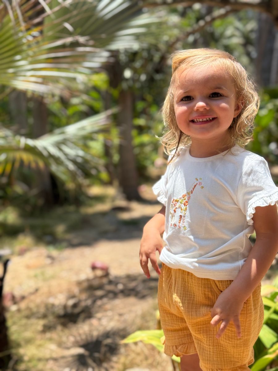 Giraffe Embroidery Set