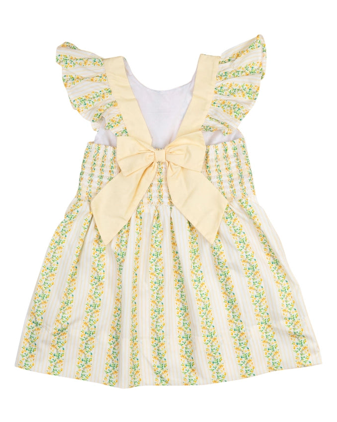 Lemony Stripes Dress