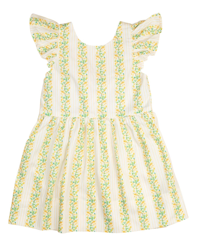 Lemony Stripes Dress