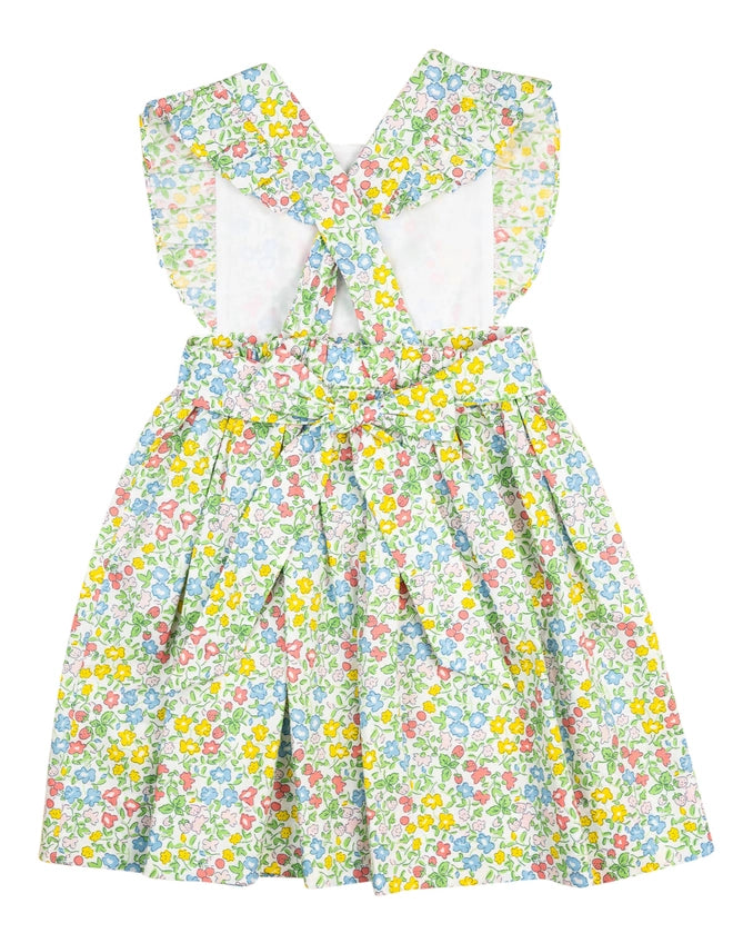 Ditsy Floral and Berry Penny Dress