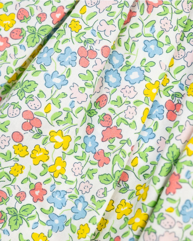 Ditsy Floral and Berry Penny Dress