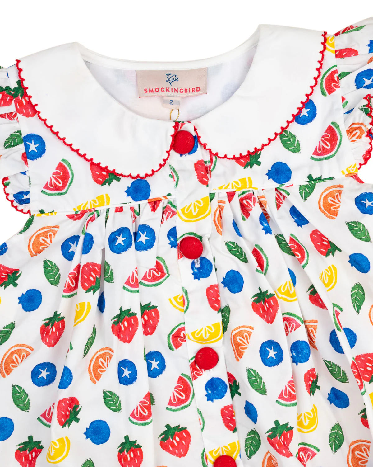 Fruit Block Print Dress