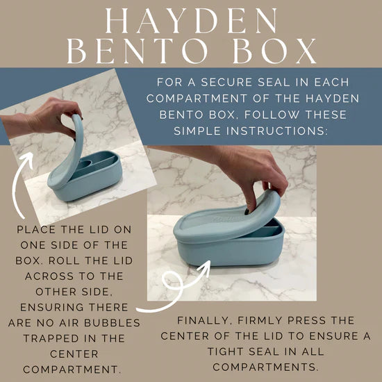 Hayden Checkered Bento Box