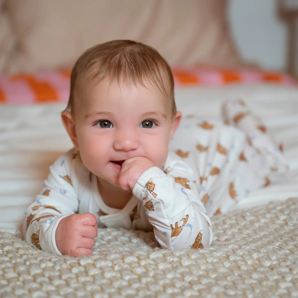 Wildly Loved Modal Magnetic Footie