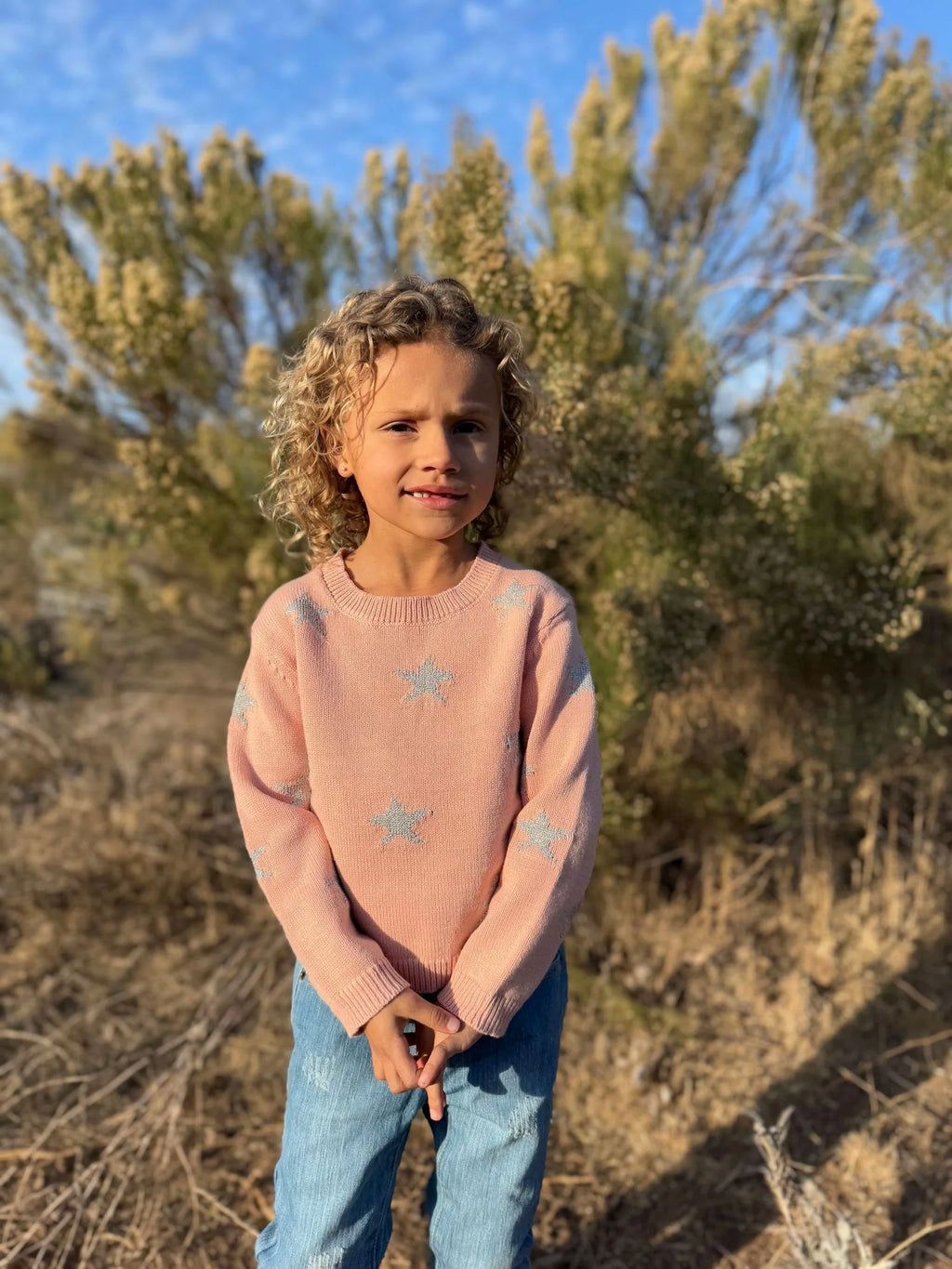 Robyn Sweater in Pink Star